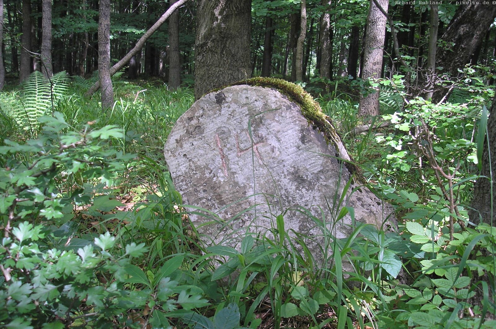 Historischer Grenzstein im Wald